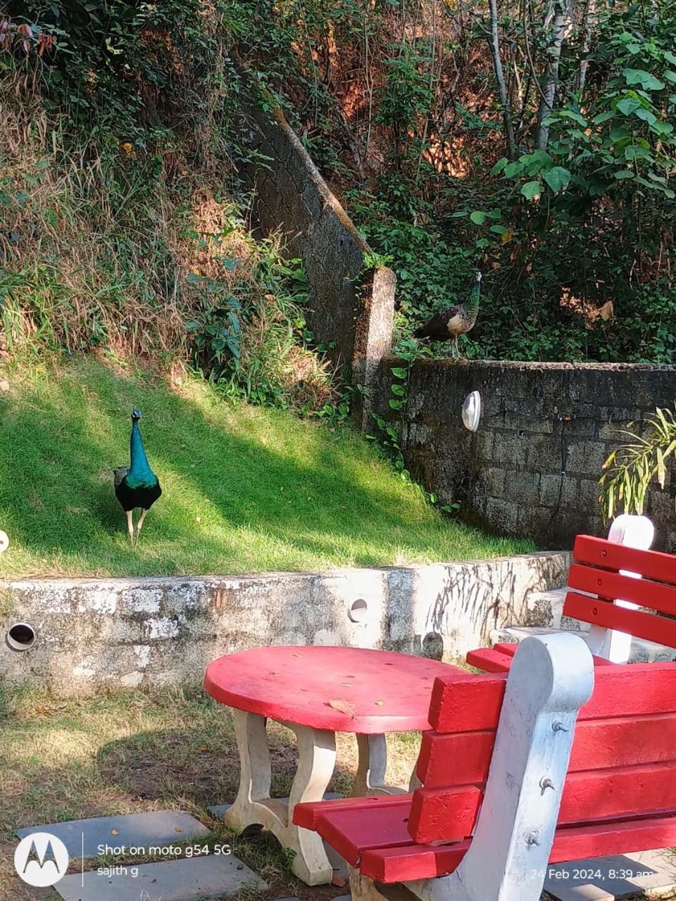 Vip Garden Resort Varkala Buitenkant foto